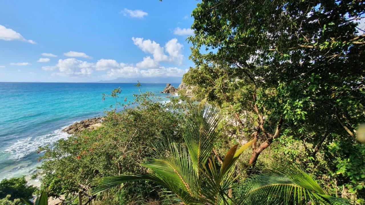 Appartement Location Dampierre Le Gosier (Grande-Terre)