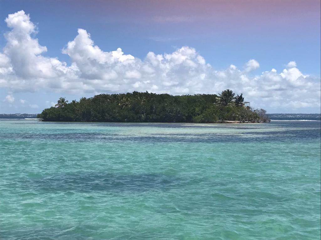 Location Dampierre Appartement Le Gosier (Grande-Terre)